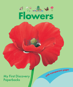 Flowers Flowers