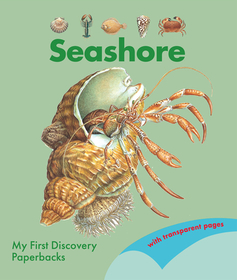 Seashore Seashore
