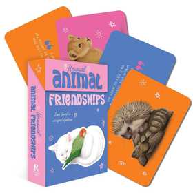 Unusual Animal Friendships: Love found in unexpected places Unusual Animal Friendships: Love found in unexpected places