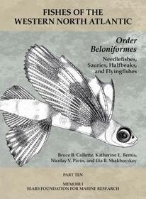 Order Beloniformes – Needlefishes, Sauries, Halfb – Part 10