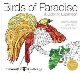 Birds of Paradise: A Coloring Expedition