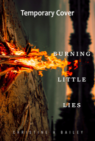 Burning Little Lies