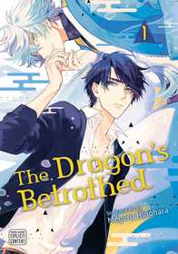Dragon's Betrothed, Vol. 1 Dragon's Betrothed, Vol. 1