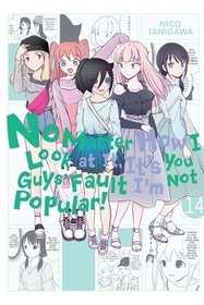 No Matter How I Look at It, It's You Guys' Fault I'm Not Popular!, Vol. 14: Volume 14 No Matter How I Look at It, It's You Guys' Fault I'm Not Popular!, Vol. 14: Volume 14