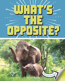 What's the Opposite?: A Turn-And-See Book