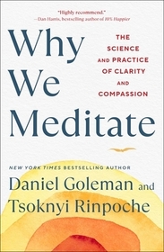 Why We Meditate: The Science and Practice of Clarity and Compassion Why We Meditate: The Science and Practice of Clarity and Compassion