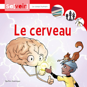 Le Cerveau Le Cerveau