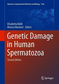 Genetic Damage in Human Spermatozoa