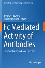 Fc Mediated Activity of Antibodies: Structural and Functional Diversity