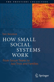 How Small Social Systems Work: From Soccer Teams to Jazz Trios and Families
