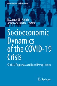 Socioeconomic Dynamics of the COVID-19 Crisis: Global, Regional, and Local Perspectives