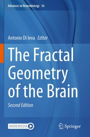 The Fractal Geometry of the Brain