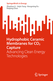 Hydrophobic Ceramic Membranes for CO2 Capture: Advancing Clean Energy Technologies