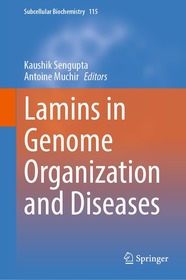 Lamins in Genome Organization and Diseases