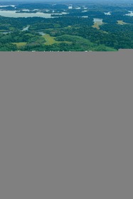 Handbook on Human Rights to a Healthy Environment: International, Regional, and Comparative Pathways for Policy Intervention in Cameroon