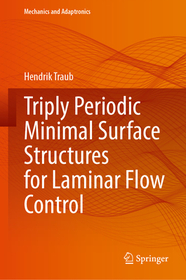 Triply Periodic Minimal Surface Structures for Laminar Flow Control