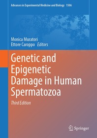 Genetic and Epigenetic Damage in Human Spermatozoa