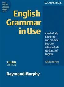 English Grammar In Use Klett Edition: A Self-study Reference and Practice Book for Intermediate Students of English