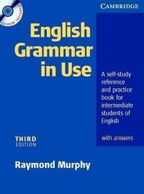 English Grammar In Use with Answers and CD ROM Klett Edition: A Self-study Reference and Practice Book for Intermediate Students of English