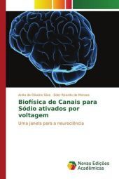 Biofísica de Canais para Sódio ativados por voltagem: Uma janela para a neuroci?ncia
