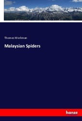 Malaysian Spiders