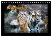 Wildtiere (Tischkalender 2024 DIN A5 quer), CALVENDO Monatskalender: Wildtiere aus Nah und Fern