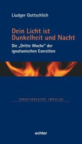 Dein Licht ist Dunkelheit und Nacht: Die 