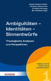 Ambiguitäten - Identitäten - Sinnentwürfe: Theologische Analysen und Perspektiven