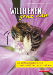 Wildbienen ganz nah: Die 100 häufigsten Arten schnell und sicher unterscheiden Wildbienen ganz nah: Die 100 häufigsten Arten schnell und sicher unterscheiden