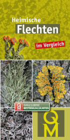 Heimische Flechten: im Vergleich