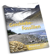 Geschiebe-Fossilien: Per Eisfracht verschickt Geschiebe-Fossilien: Per Eisfracht verschickt