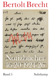 Notizbücher 16-20: Band 5: 1924-1926