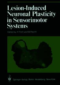 Lesion-Induced Neuronal Plasticity in Sensorimotor Systems