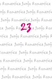 Junjo Romantica 23: Die beliebte Boys-Love-Soap-Opera