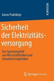 Sicherheit der Elektrizitätsversorgung: Das Spannungsfeld von Wirtschaftlichkeit und Umweltverträglichkeit