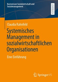 Systemisches Management in sozialwirtschaftlichen Organisationen: Eine Einführung