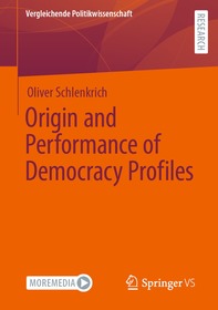 Origin and Performance of Democracy Profiles