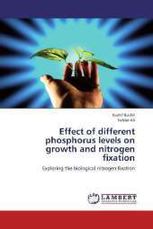 Effect of different phosphorus levels on growth and nitrogen fixation: Exploring the biological nitrogen fixation