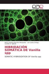 HIBRIDACIÓN SOMÁTICA DE Vanilla spp: SOMATIC HYBRIDIZATION OF Vanilla spp