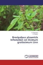 Brevipalpus phoenicis Infestation on Ocimum gratissimum Linn