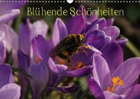 Blühende Schönheiten 2014 (Wandkalender 2014 DIN A3 quer): Das ganze Jahr hindurch, begegnen uns diese blühende Schönheiten. (Monatskalender, 14 Seiten)
