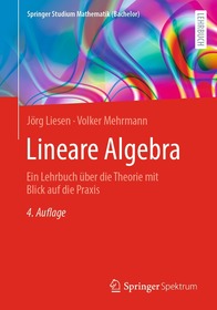 Lineare Algebra: Ein Lehrbuch über die Theorie mit Blick auf die Praxis