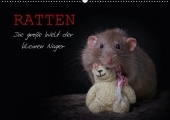 Ratten. Die große Welt der kleinen Nager (Wandkalender 2017 DIN A2 quer): Ein außergewöhnlicher Tierkalender, der die schlauen Nagetiere in Ihrer niedlichsten Form zeigt. (Monatskalender, 14 Seiten )