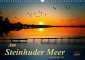 Am Steinhuder Meer (Wandkalender 2023 DIN A3 quer): Folgen Sie dem Fotokünstler Peter Roder an das Steinhuder Meer - Paradies für Wassersportler, aber auch Teil eines Naturparks (Monatskalender, 14 Seiten )