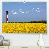 Rapsblüte an der Ostsee (Premium, hochwertiger DIN A2 Wandkalender 2023, Kunstdruck in Hochglanz): Jahreszeit im April - Mai mit Rapsblüte an der Ostsee (Monatskalender, 14 Seiten )