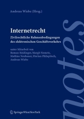 Internetrecht (f. Österreich): Zivilrechtliche Rahmenbedingungen des elektronischen Geschäftsverkehrs