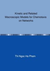 Kinetic and Related Macroscopic Models for Chemotaxis on Networks: Dissertationsschrift
