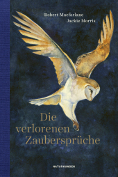 Die verlorenen Zaubersprüche Die verlorenen Zaubersprüche