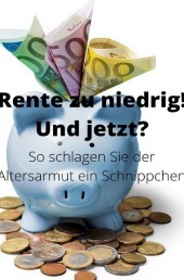 Rente zu niedrig? Und jetzt!: So schlagen Sie der Altersarmut ein Schnippchen
