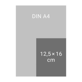Die drei !!! Tagesabreißkalender 2026: Tipps von Kim, Franzi und Marie und Fakten über die drei Ausrufezeichen in einem coolen Kalender 2026 für jeden Tag. Format 12,5 x 16 cm, mit Aufsteller